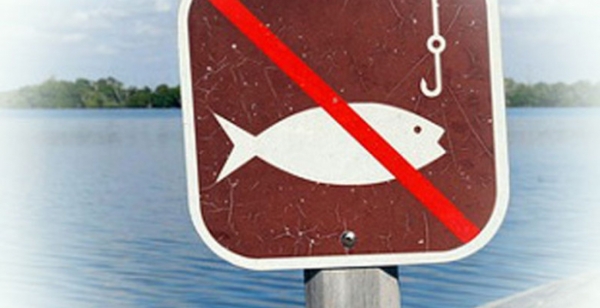 В Киеве и области запретили ловить рыбу в зимовальных ямах