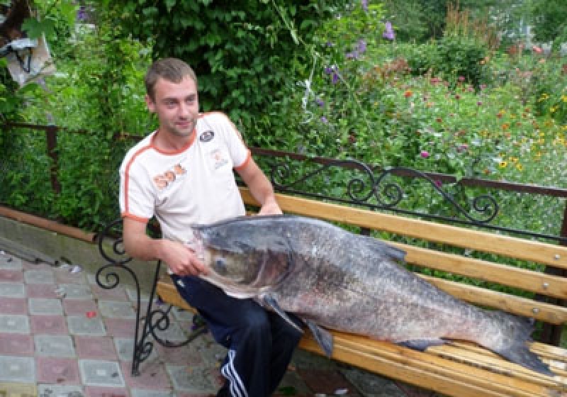 Житель Тернополя поймал в сельском пруду толстолобика весом 37 килограмм